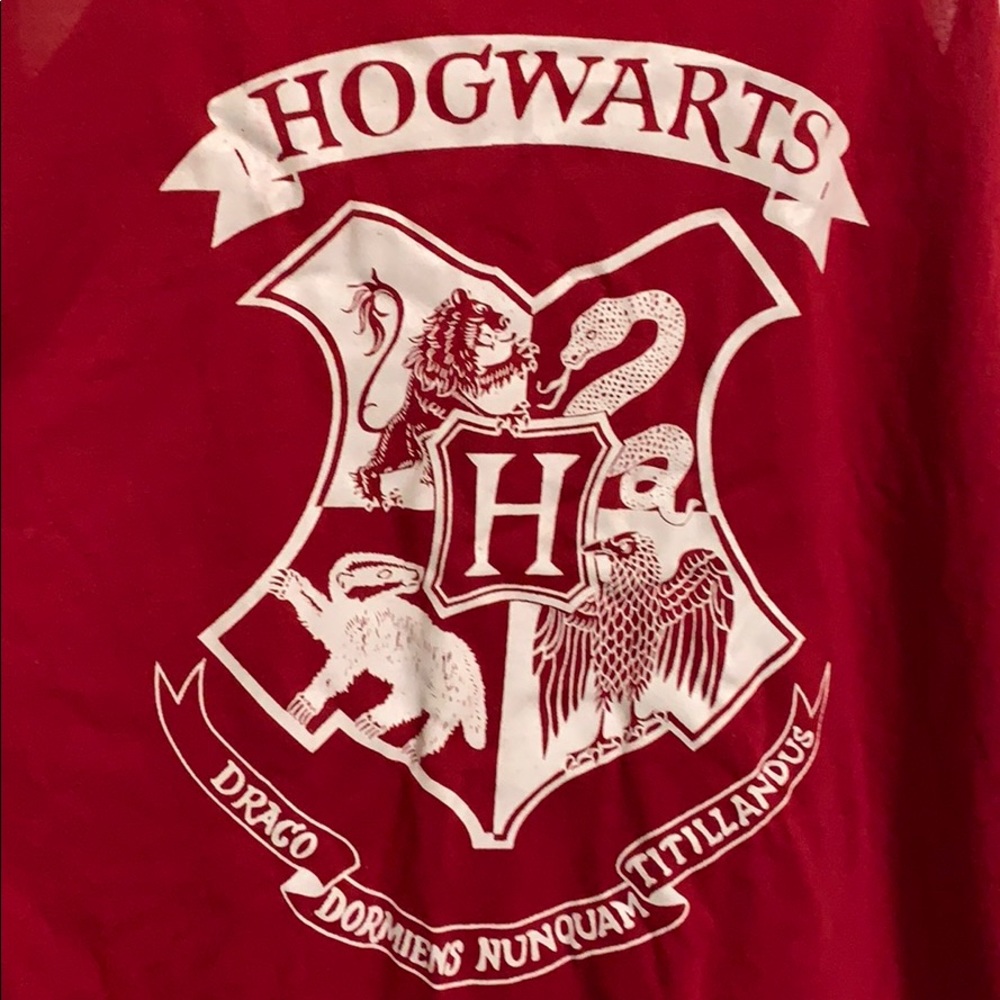 Harry Potter - Picture 2 of 4